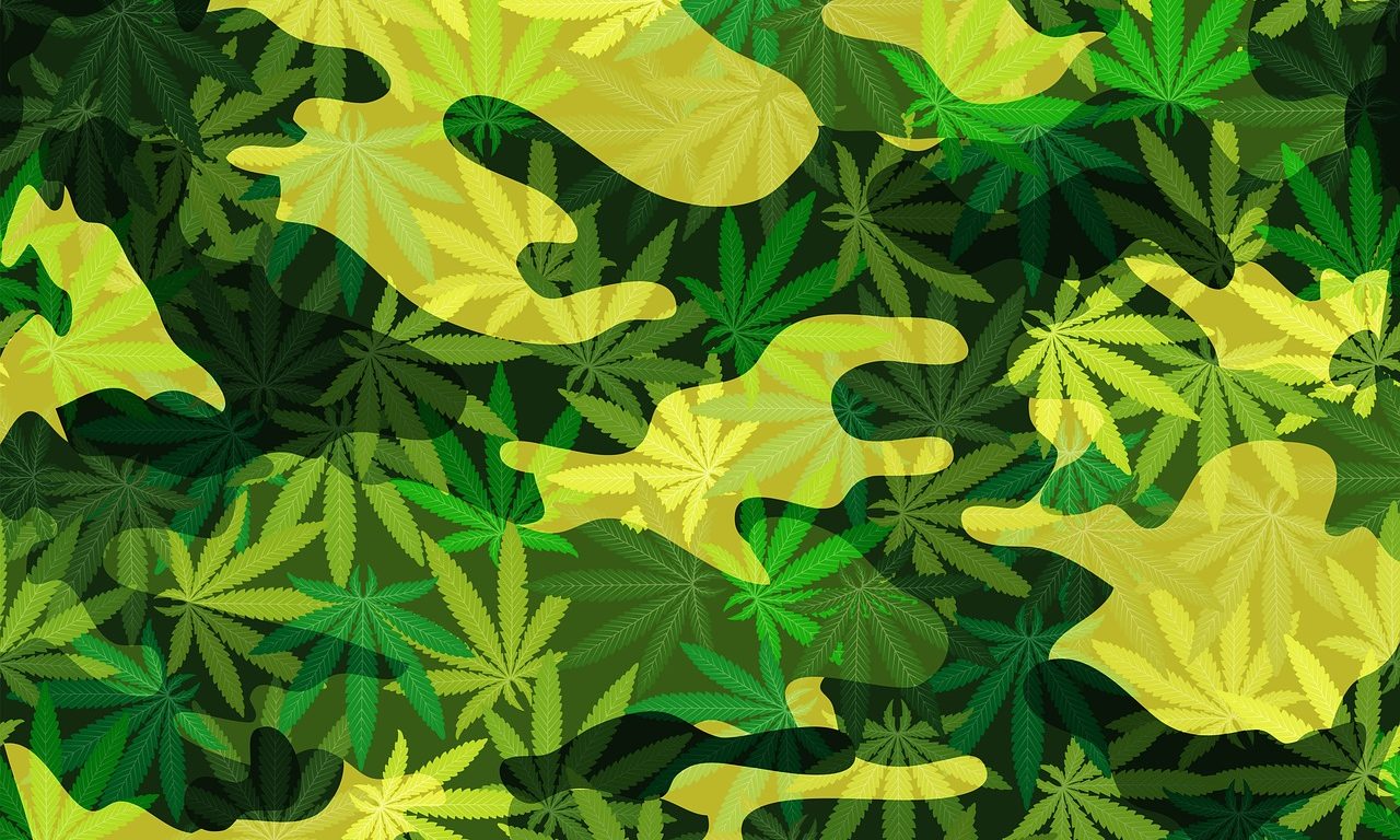 marijuana_1509040334-e1519067163652